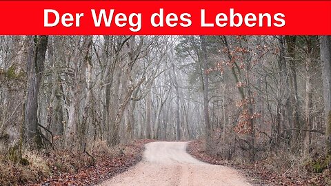 MeGGi - Der Weg des Lebens