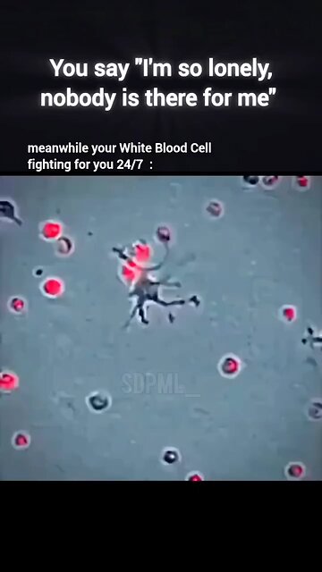 Brain Situation:When you say I'm lonely and nobody is there for me👩‍❤️‍👨