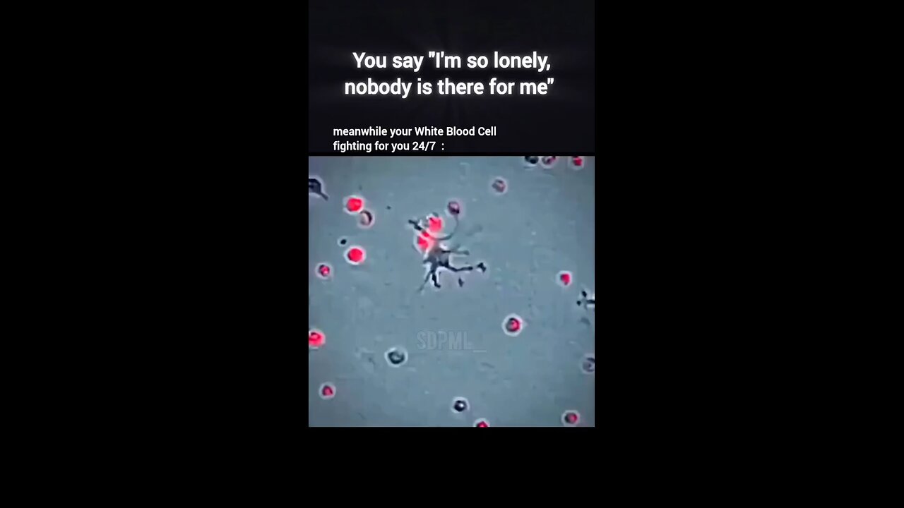 Brain Situation:When you say I'm lonely and nobody is there for me👩‍❤️‍👨