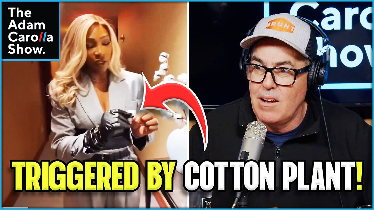 Serena Williams Triggered by Cotton Decor, Dearborn Mosque’s Noise Debate & Bill Maher Rips Liberals