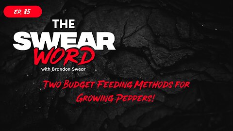 TSW: Ep 85 | Budget Plant Feeding - Jadam + Bio Char | Hot or Not: Evil Wonka