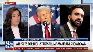 Rep Elise Stefanik: NYC Is A Catastrophe Under Single-Party Democrat Rule