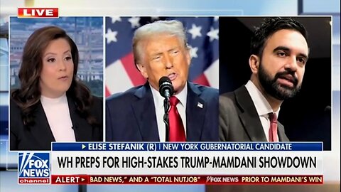 Rep Elise Stefanik: NYC Is A Catastrophe Under Single-Party Democrat Rule