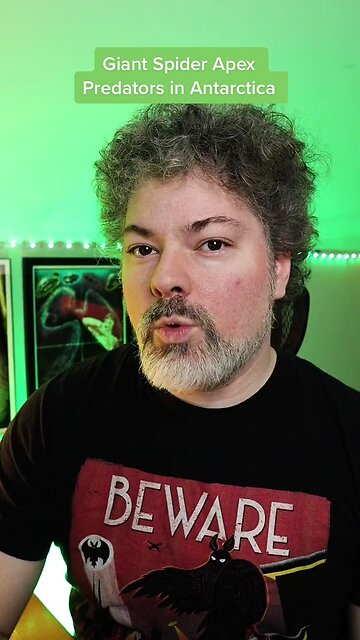 What the absolute F is that thing???