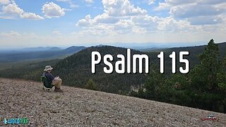 Psalms 115, Bible Reading in Nature, BSB