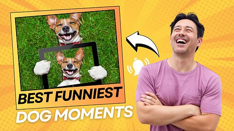 Fanny dogs reaction