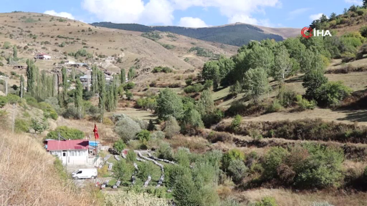 Arılarına yazmayı öğretti