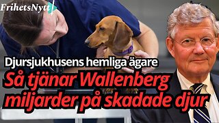 Djursjukvården: Wallenbergs nya miljardaffär?