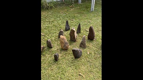 “There’s a shark in the lagoon!”