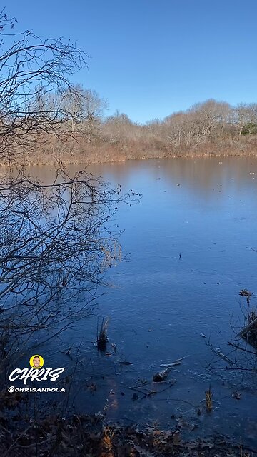 FROZEN POND!
