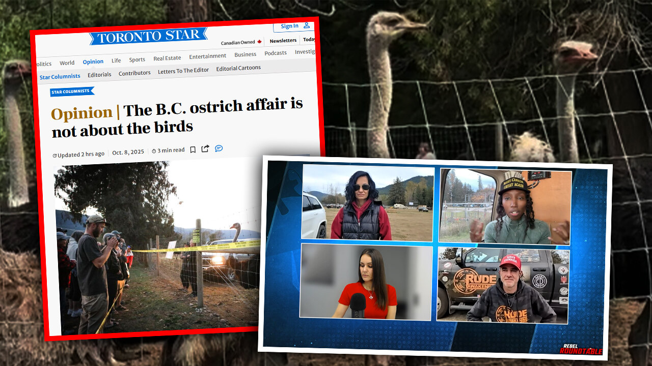 Mainstream media admits ostrich cull is about curbing 'anti-government belief' — not science