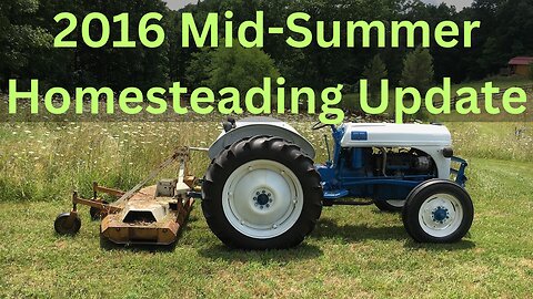 2016 Mid-Summer Homesteading Update