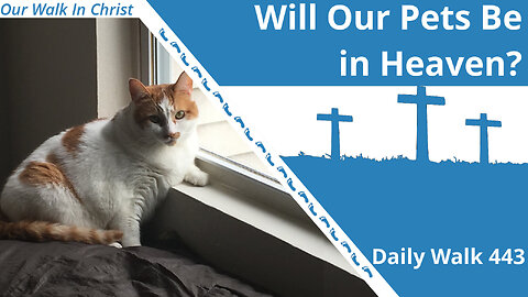 Will Our Pets Be In Heaven? | Daily Walk 443
