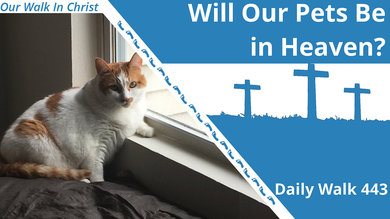 Will Our Pets Be In Heaven? | Daily Walk 443