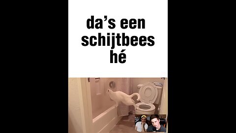 JordentheNinja houdt niet van katten