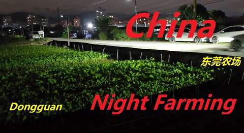 China - Night Farming and Dinner - Guangdong 中国 - 夜间耕作和晚餐