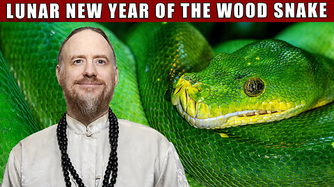 Chinese Lunar New Year of the Wood Snake 2025: Rebirth and Renewal - Ascension Timeline