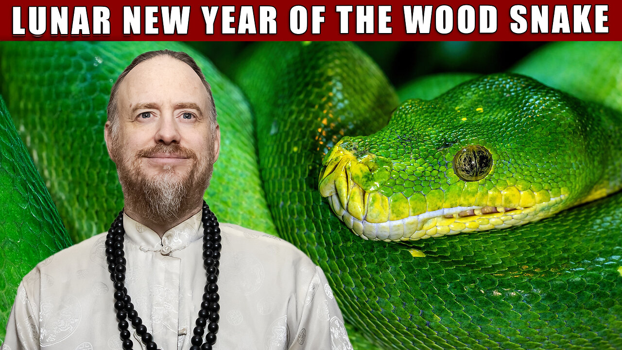 snake chinese new year meaning