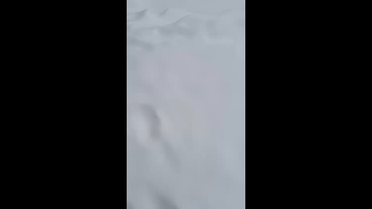 snow fall