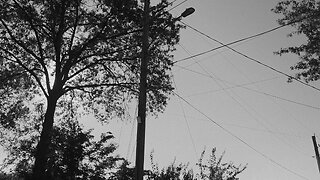Lamp Posts Exist (Official Music Video)