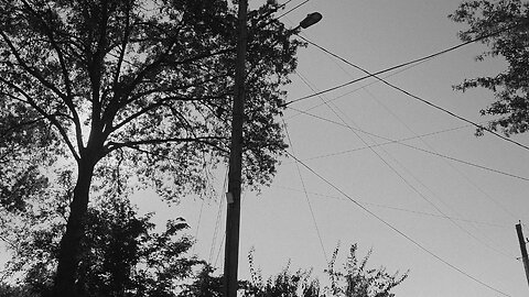 Lamp Posts Exist (Official Music Video)