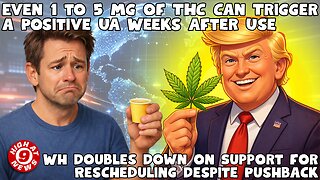 Even 1 to 5 mg of THC Can Trigger a Positive Urine Test Weeks After Use, Study Finds