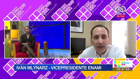 Iván Mlynarz Vicepresidente de Enami