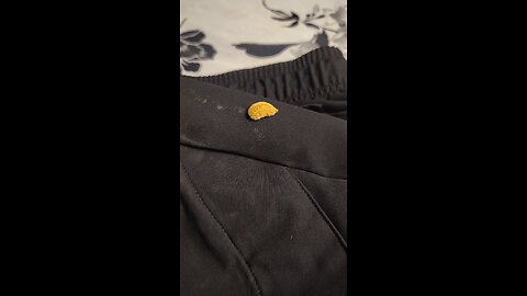 #puss #caterpillar #is #real #venenos@