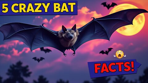 5 Fascinating Facts About Bats You Didn't Know!