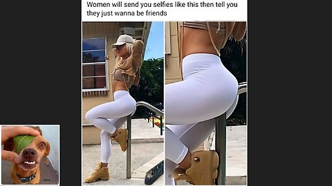 Memes That Will 99.0544% Make You Laugh. (e768)