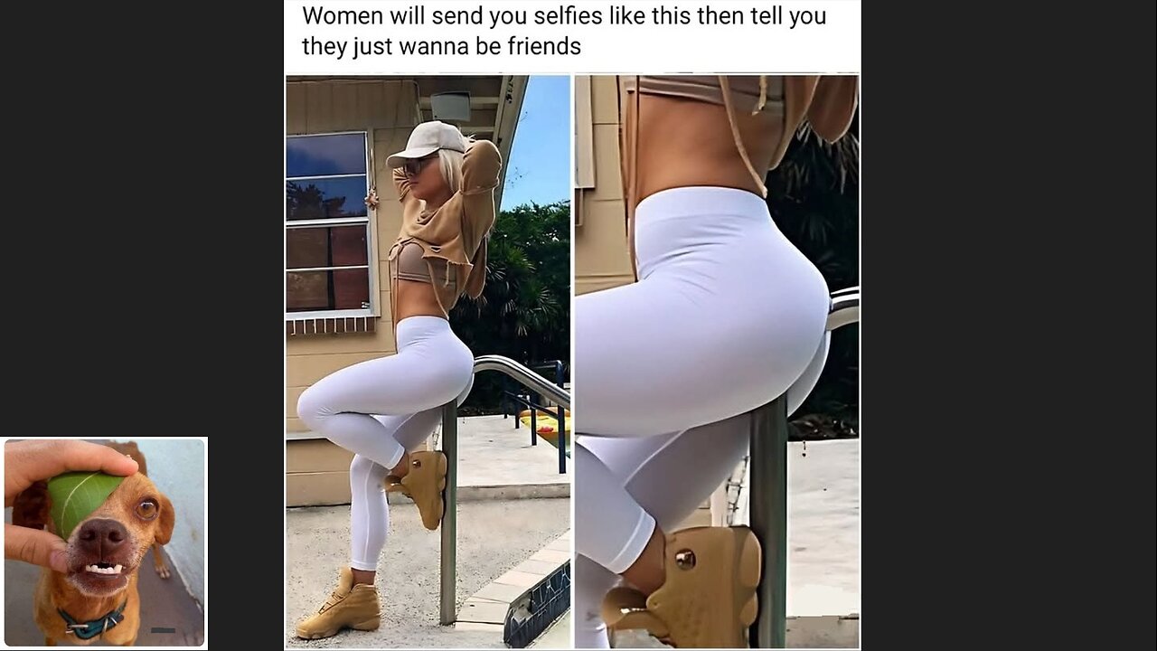 Memes That Will 99.0544% Make You Laugh. (e768)