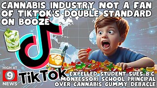 TikTok’s Double Standard on Marijuana And Alcohol