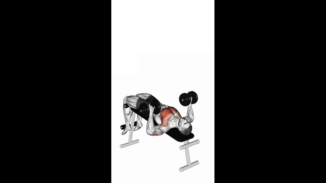 Decline Dumbbell Press Exercise.