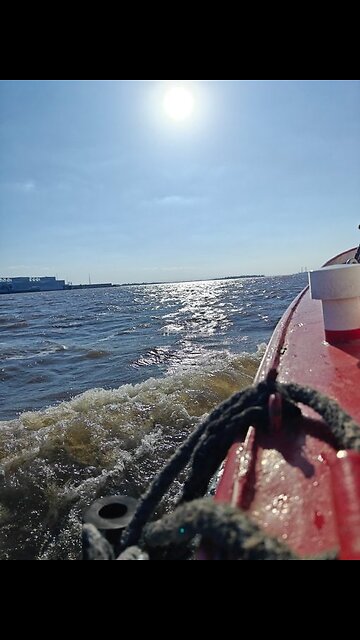 Die DOGE-Ermittlungen bringen interessante Fakten