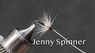 Jenny Spinner: a trout fly from Favorite Flies and Their Histories (1892) by Mary Orvis Marbury
