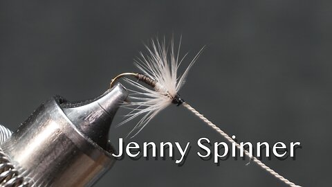 Jenny Spinner: a trout fly from Favorite Flies and Their Histories (1892) by Mary Orvis Marbury