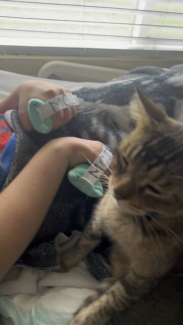 10/03/25 Matthew & BigSweetBilly 🥰😻