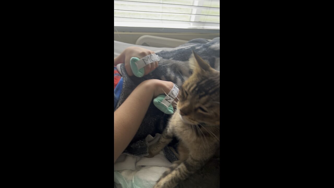 10/03/25 Matthew & BigSweetBilly 🥰😻