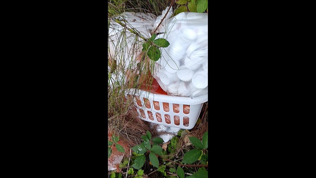 STRANGE FIND