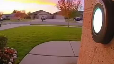 Let's go have a drink, guys