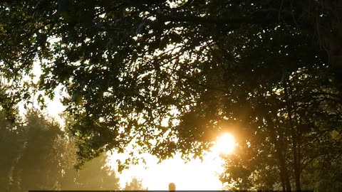 Daily Horoscope | Pisces 🌟