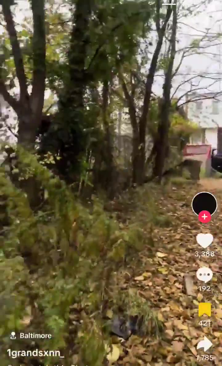 American ICE Cop tries to m=rder someone with his police car