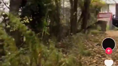 American ICE Cop tries to m=rder someone with his police car