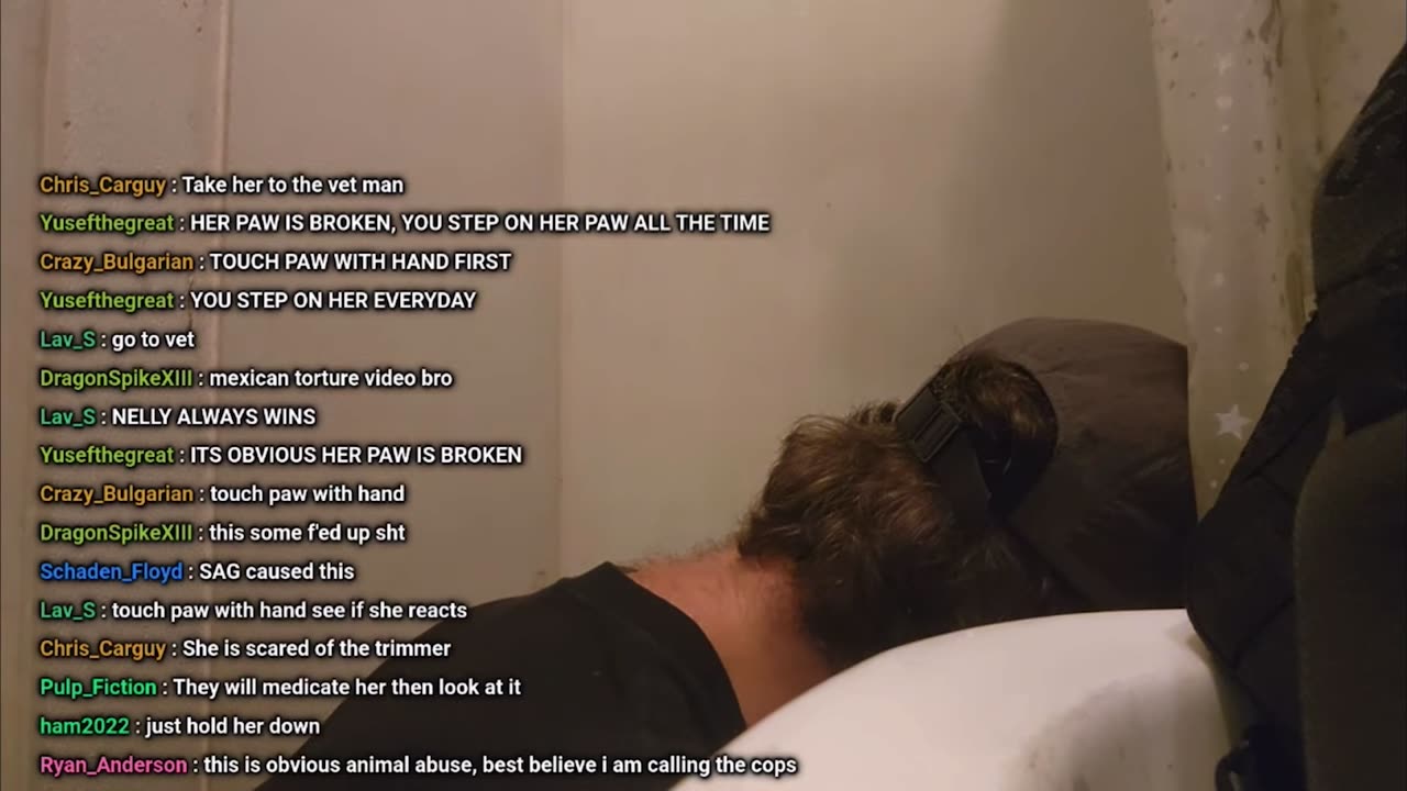 While everyone is concered about Kaya please also spare a thought for Nelly Schainberg, SJC's dog