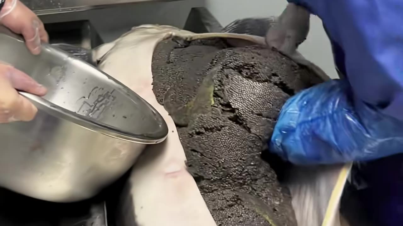 💡👍 You've Been Doing This Wrong Your Whole Life! | LifeHacksDaily