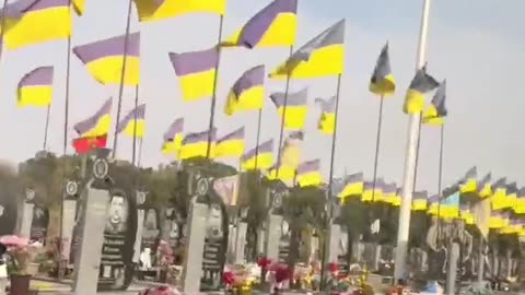 Ukraine is winning