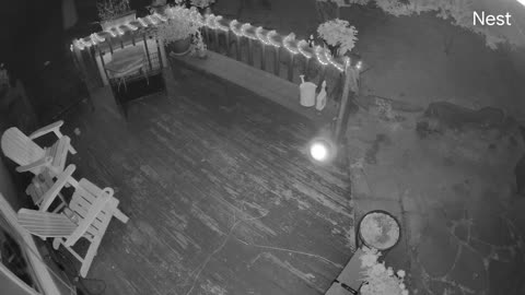 👁️🌀 Orb on nest camera last night | TheHauntingHour