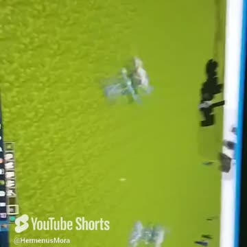 Minecraft more zombie insanity!