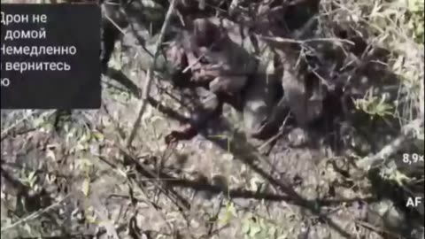 Ukraine war combat footage 10/6/25