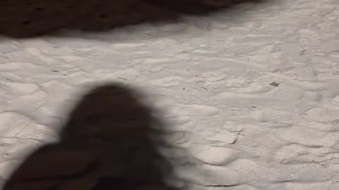 😨👻 Weird Movement Over My GF's Shadow Caught on Video! | TheHauntingHour